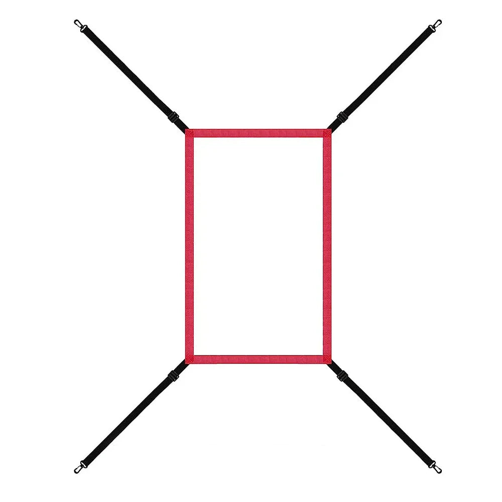 Baseball Pitching Net for Accuracy Control and Training Practice Sessions